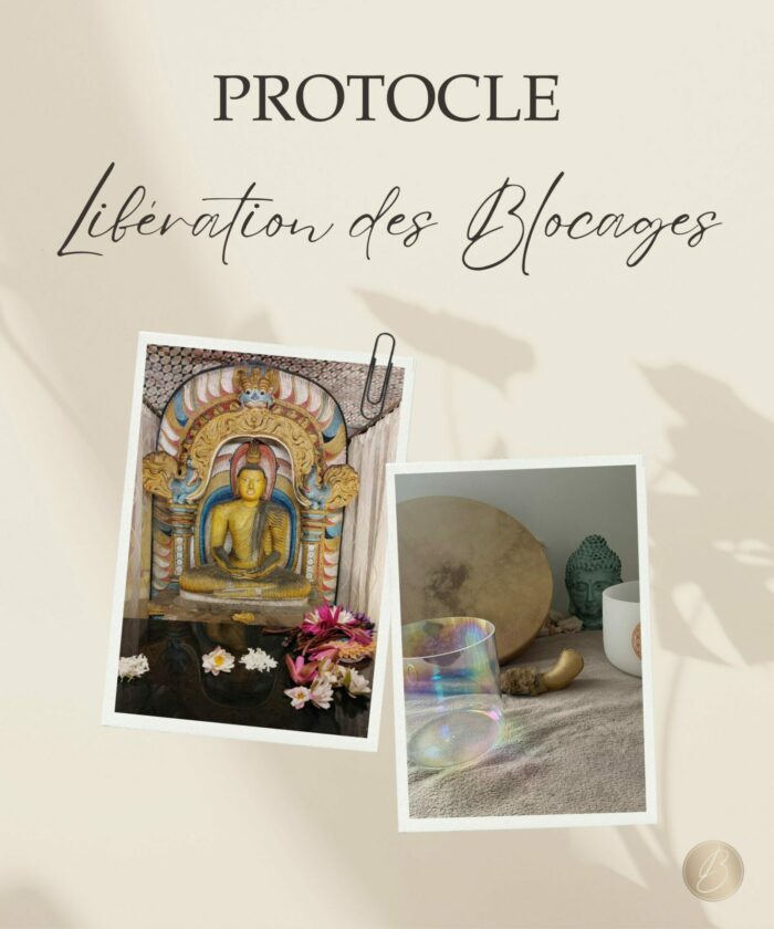 Protocole Libération des Blocages – Image 1