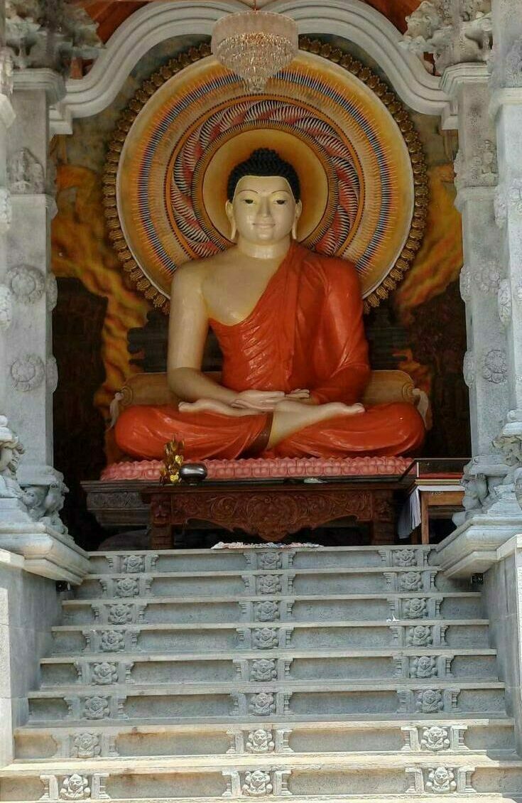 WhatsApp Image 2025-10-04 at 13.05.24 (1)